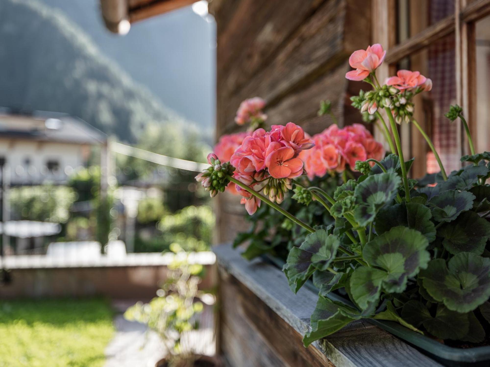 Ferienwohnung MYALPS Mühlhof Oetz Exterior foto
